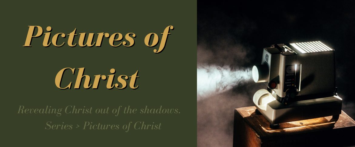Bro. Vince covers a rich variety of the Old Testament's treasure trove of strange historical events designed to typify some critical aspect of God's one and only Savior, Jesus Christ.